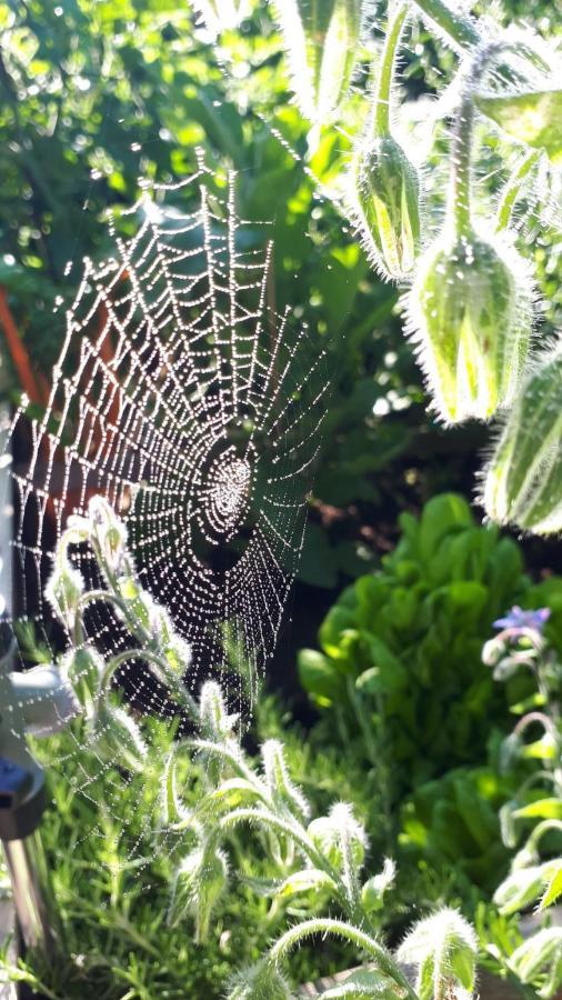 Bel-etage * Liebshausen